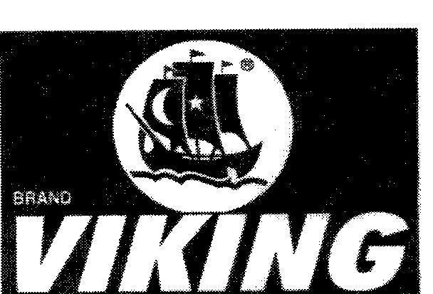 Mẫu nhãn hiệu BRAND VIKING