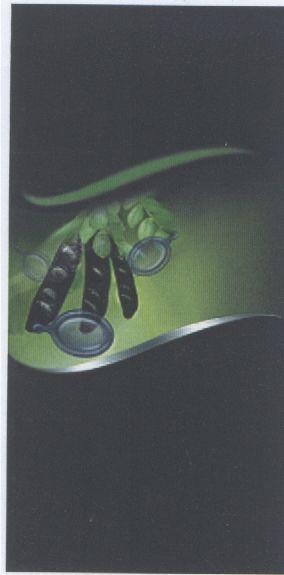 Mẫu nhãn hiệu Nhãn hiệu VN-4-2004-02668