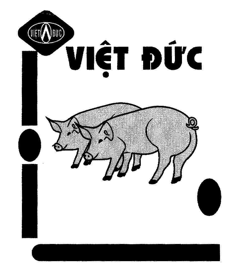 Mẫu nhãn hiệu VIệT ĐứC