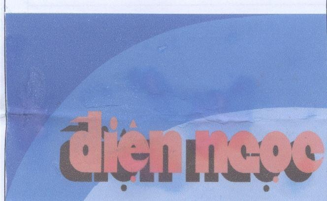 Mẫu nhãn hiệu Điện Ngọc