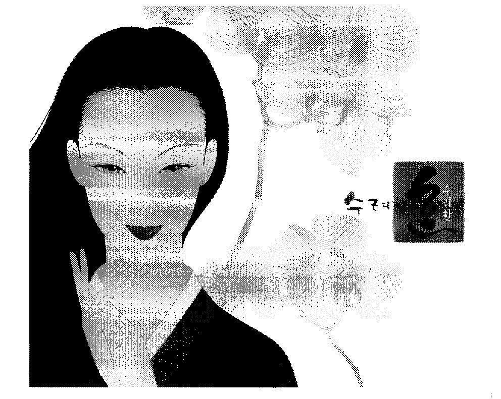 Mẫu nhãn hiệu SOO RYE HAN