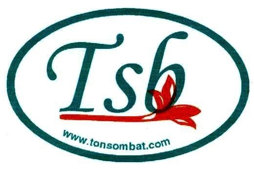 Mẫu nhãn hiệu TSB WWW.TONSOMBAT.COM
