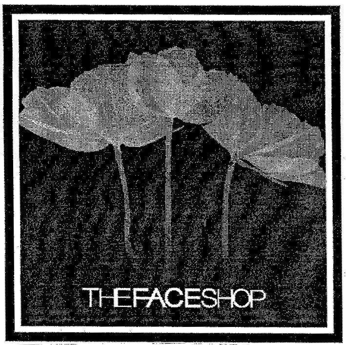 Mẫu nhãn hiệu THEFACESHOP