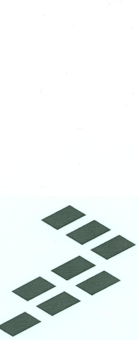 Mẫu nhãn hiệu Nhãn hiệu VN-4-2004-07267