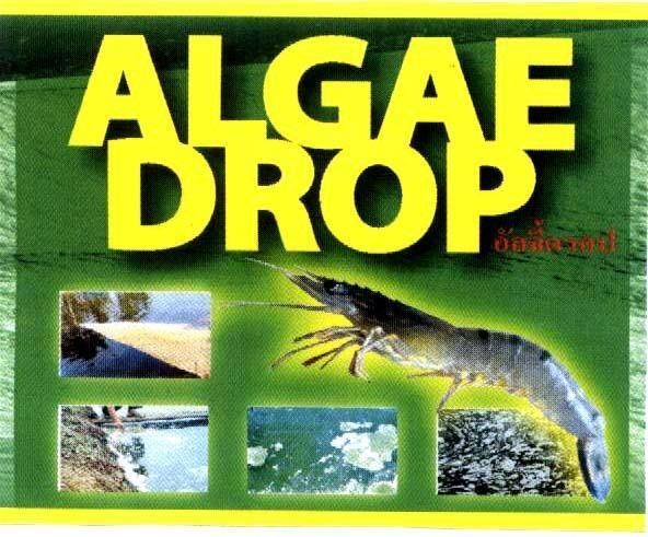 Mẫu nhãn hiệu ALGAE DROP al ga đơ rop