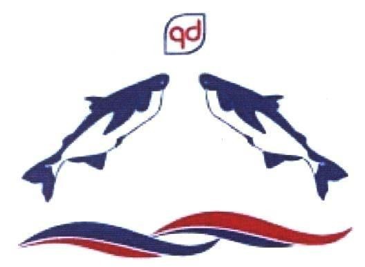 Mẫu nhãn hiệu QD