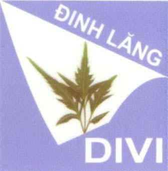 Mẫu nhãn hiệu DIVI Đinh Lăng