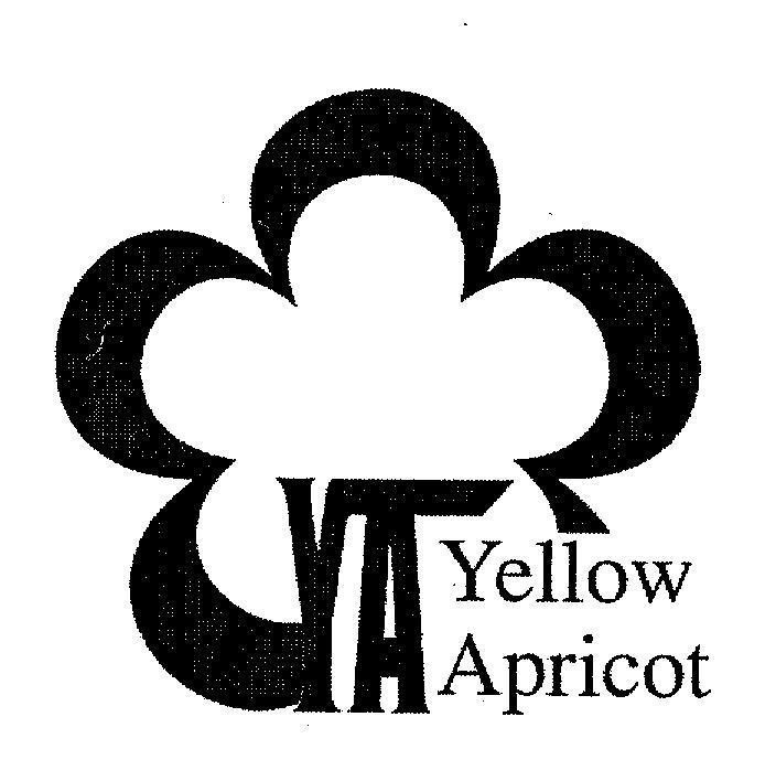 Mẫu nhãn hiệu YA YELLOW APRICOT