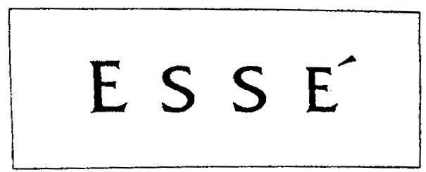 Mẫu nhãn hiệu E S S E