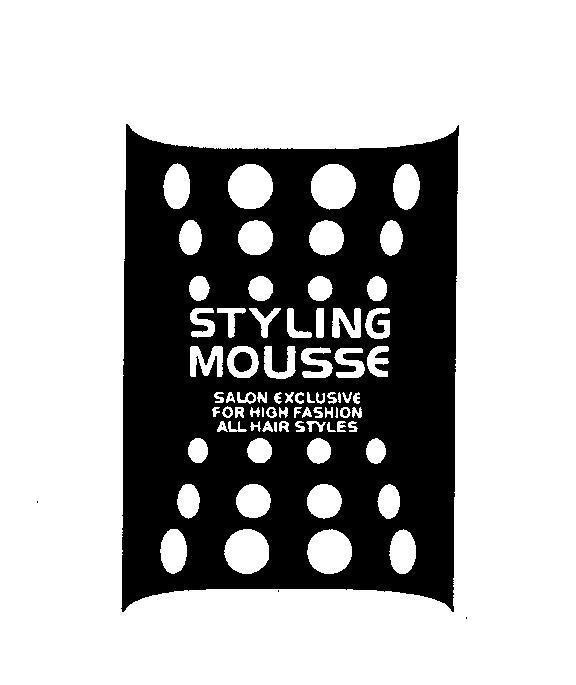 Mẫu nhãn hiệu STYLING MOUSSE SALON EXCLUSIVE FOR HIGH FASHION ALL HAIR STYLES