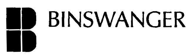 Mẫu nhãn hiệu B BINSWANGER