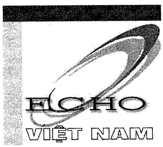 Mẫu nhãn hiệu ECHO VIệT NAM