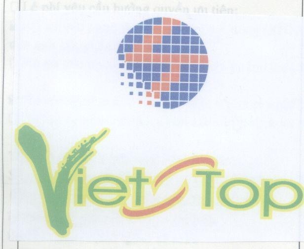 Mẫu nhãn hiệu L T VIET TOP
