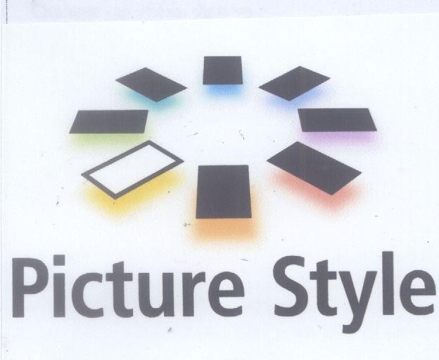 Mẫu nhãn hiệu PICTURE STYLE