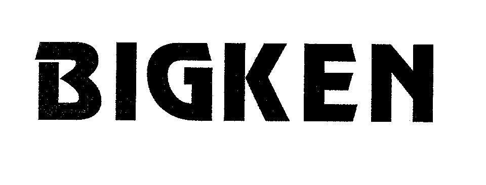 Mẫu nhãn hiệu BIGKEN