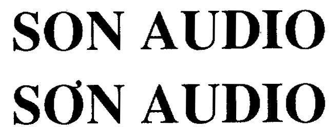 Mẫu nhãn hiệu SON AUDIO SƠN AUDIO