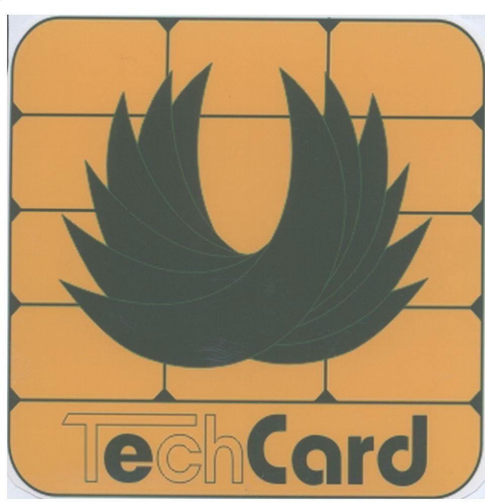 Mẫu nhãn hiệu TECHCARD