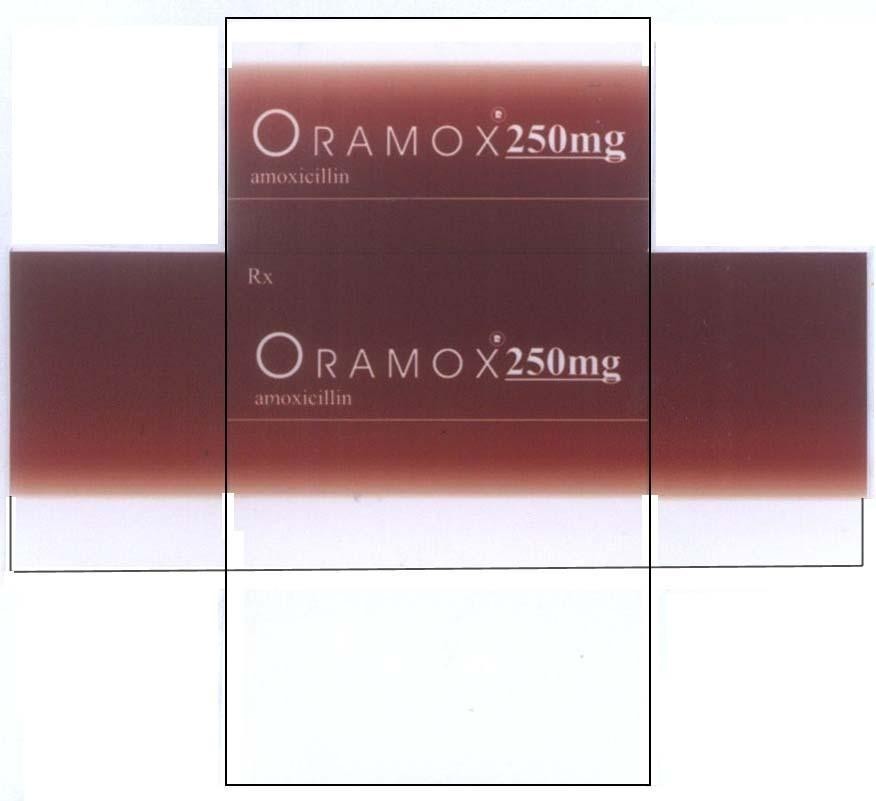 Mẫu nhãn hiệu ORAMOX RX 250MG AMOXICILLIN