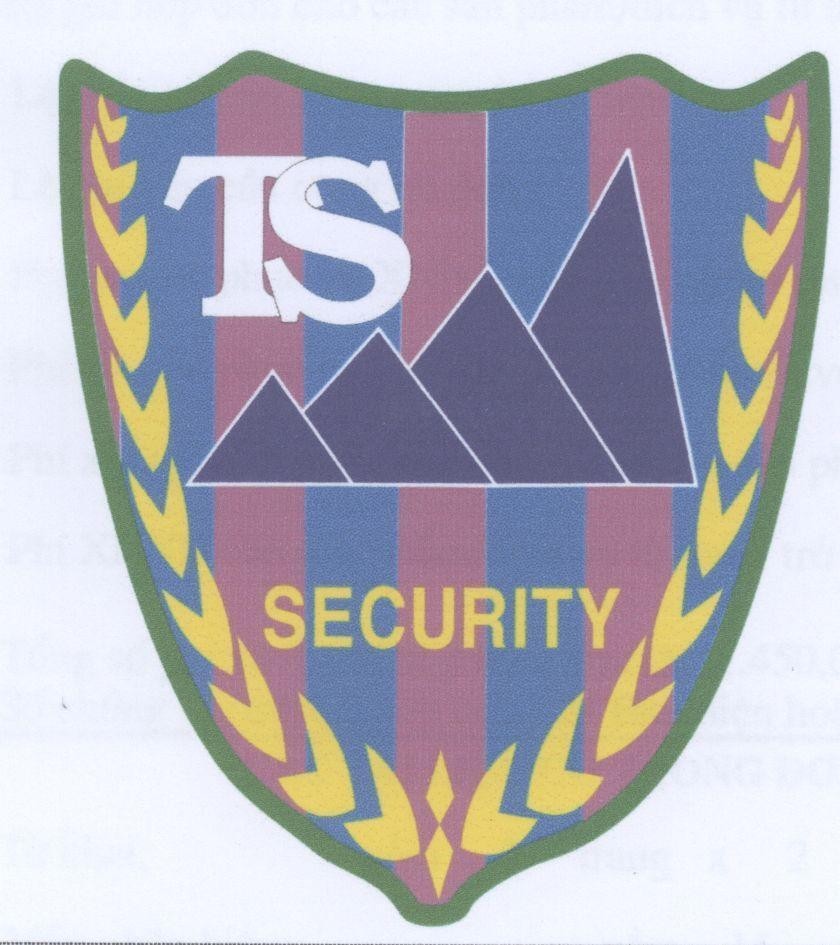 Mẫu nhãn hiệu TS SECURITY