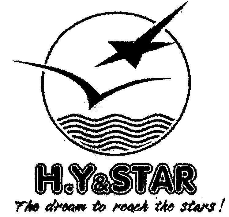 Mẫu nhãn hiệu H.Y & STAR THE DREAM TO REACH THE STARS!