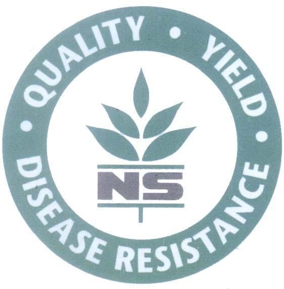 Mẫu nhãn hiệu NS QUALITY YIELD DISEASE RESISTANCE