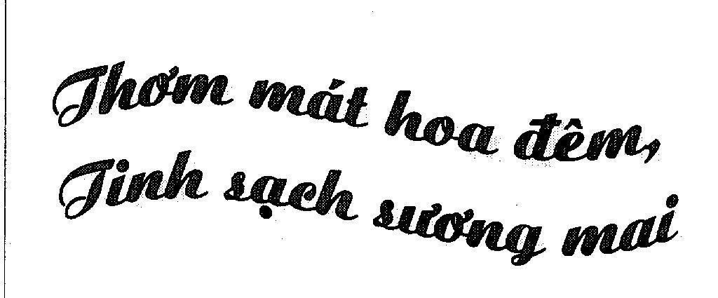 Mẫu nhãn hiệu Thơm mát hoa đêm, tinh sạch sương mai