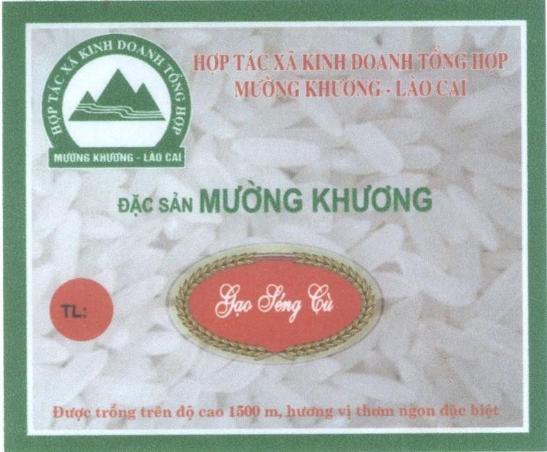 Mẫu nhãn hiệu Gạo Séng Cù đặc sản Mường Khương Lào Cai Hợp tác xã kinh doanh tổng hợp Mường Khương - Lào Cai