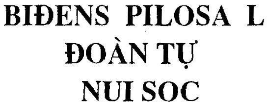 Mẫu nhãn hiệu BIĐENS PILOSA L Đoàn Tự NUI SOC