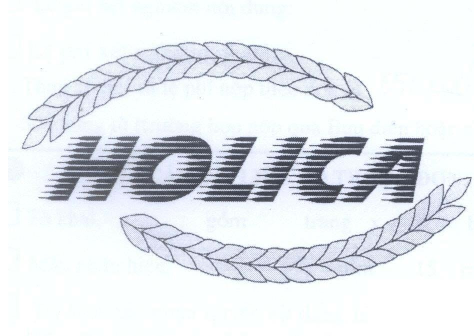 Mẫu nhãn hiệu HOLICA