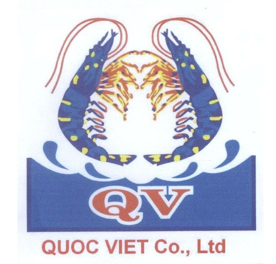 Mẫu nhãn hiệu QV QUOC VIET CO LTD