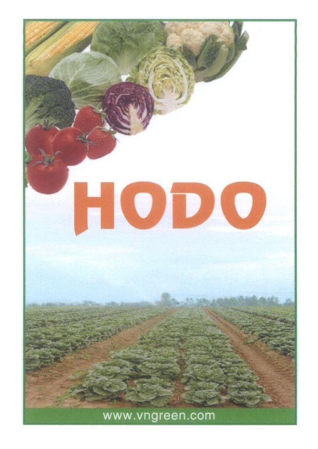 Mẫu nhãn hiệu HODO www.vngreen.com