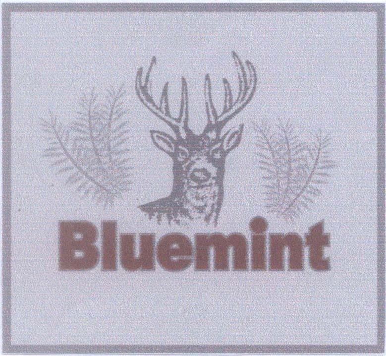 Mẫu nhãn hiệu Bluemint