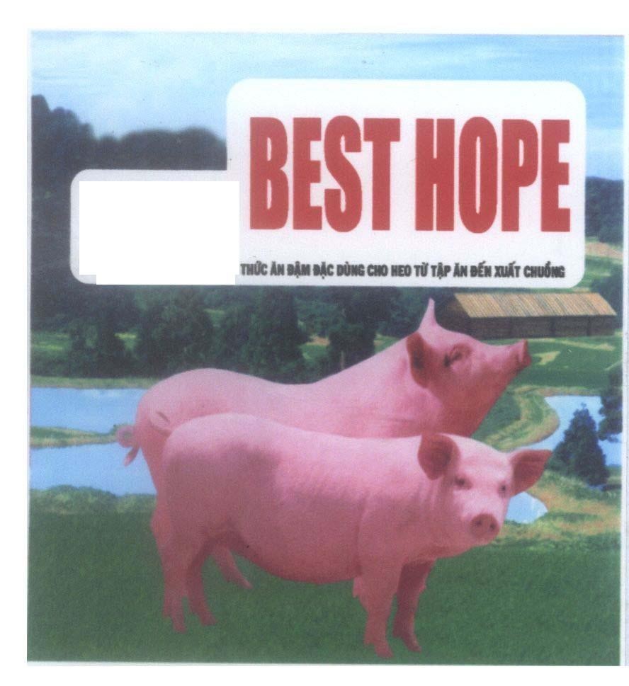Mẫu nhãn hiệu BEST HOPE Thức Ăn Đậm Đặc Dùng Cho Heo Tự Tập Ăn Đến Xuất Chuồng