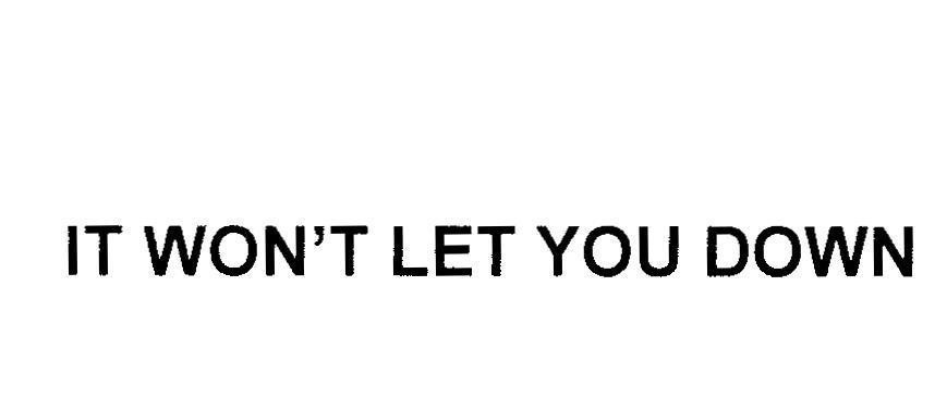Mẫu nhãn hiệu IT WON'T LET YOU DOWN