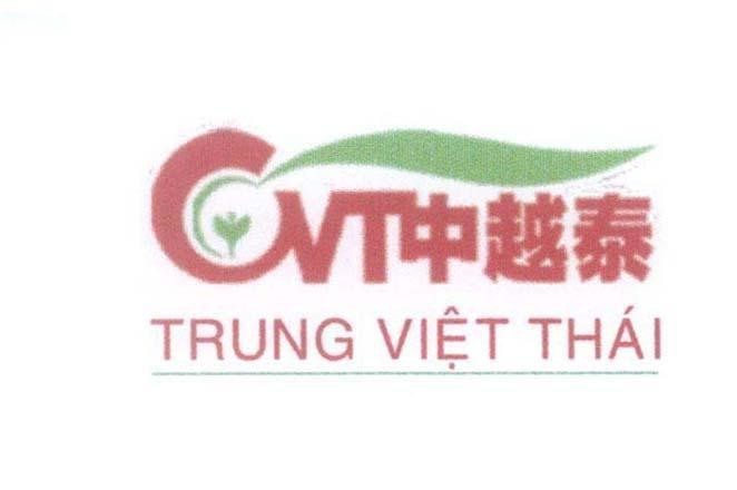 Mẫu nhãn hiệu CVT Trung Việt Thái [Trung Việt Thái]