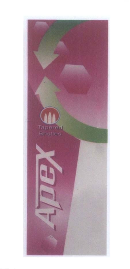 Mẫu nhãn hiệu Apex Tapered Bristies