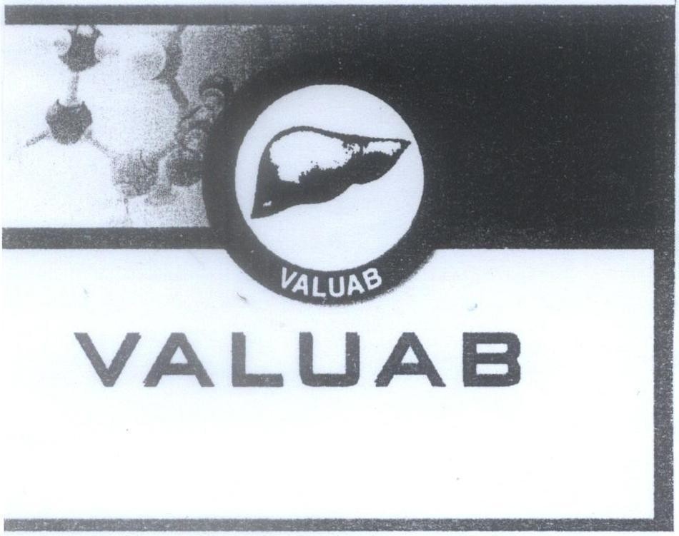 Mẫu nhãn hiệu VALUAB VALUAB