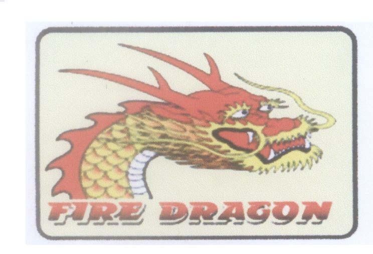 Mẫu nhãn hiệu FIRE DRAGON