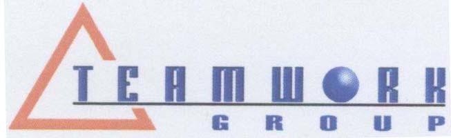 Mẫu nhãn hiệu TEAMWORK GROUP