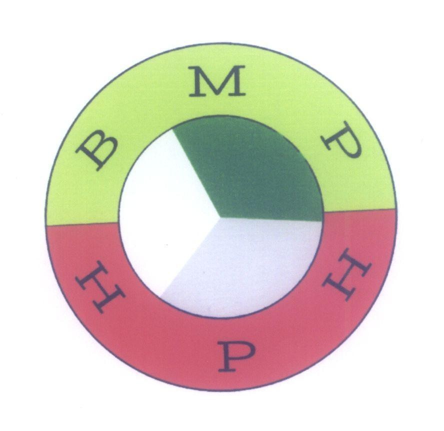 Mẫu nhãn hiệu BMP HPH