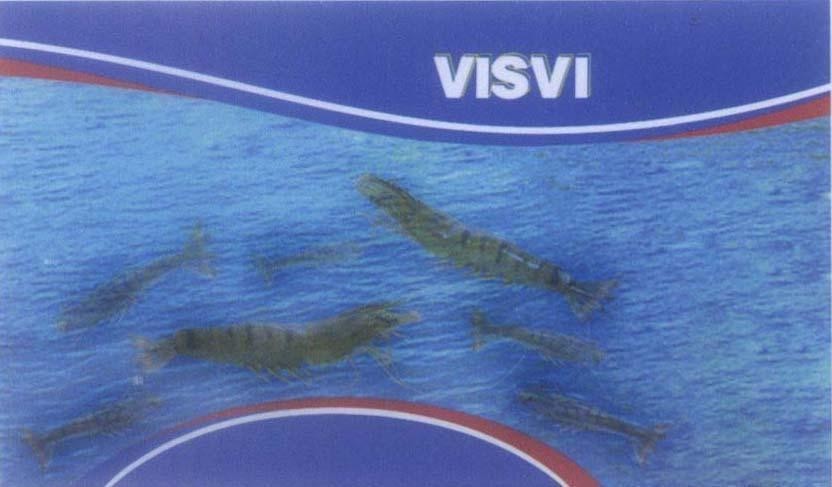 Mẫu nhãn hiệu VISVI
