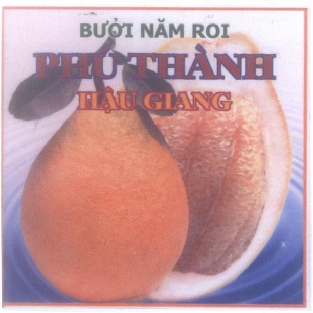 Mẫu nhãn hiệu Phú Thành Bưởi Năm Roi Hậu Giang