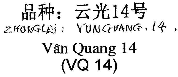 Mẫu nhãn hiệu ZHONG LEI: YUN GUANG.14 Vân Quang 14 (VQ 14) [ ZHONG LEI: YUN GUANG.14: Lúa lai Vân Quang.14]