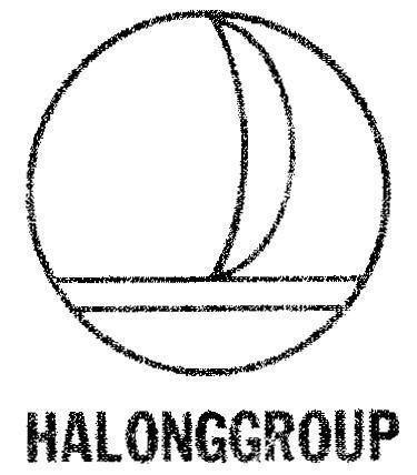 Mẫu nhãn hiệu HALONGGROUP