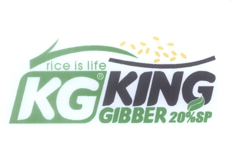 Mẫu nhãn hiệu KG KING rice is life GIBBER 20%SP