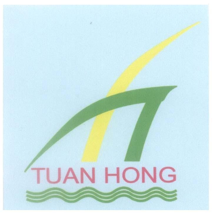 Mẫu nhãn hiệu T H TUAN HONG