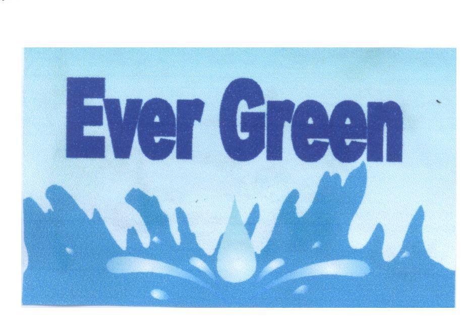 Mẫu nhãn hiệu Ever Green