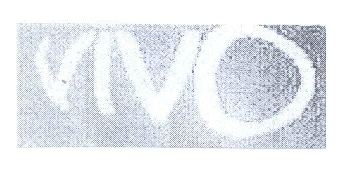 Mẫu nhãn hiệu VIVO