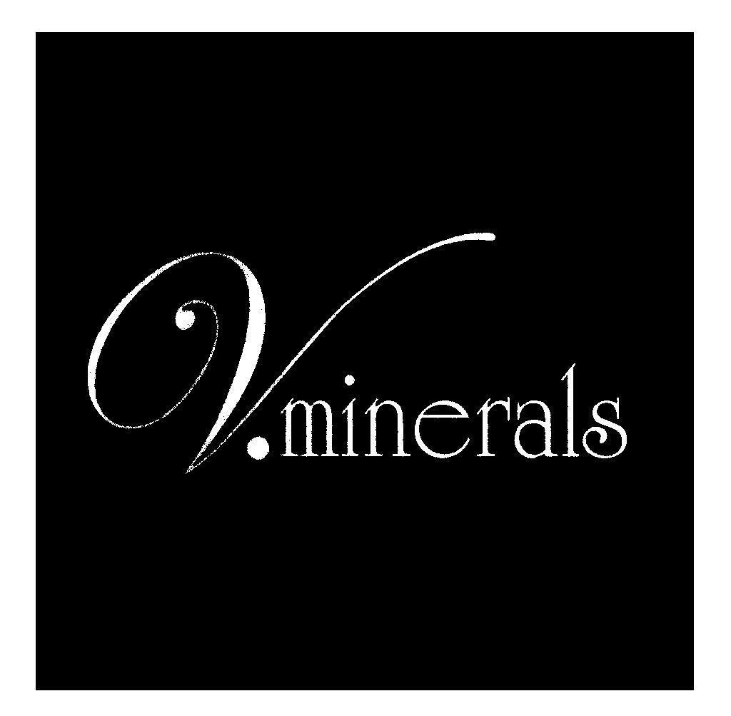 Mẫu nhãn hiệu V.minerals