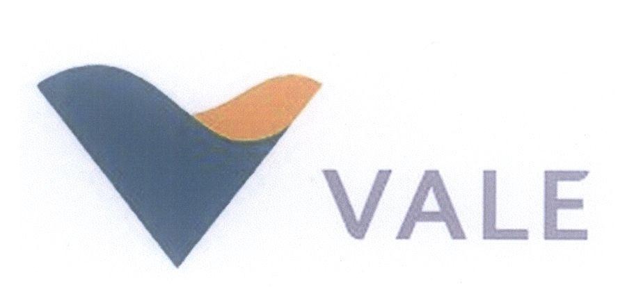 Mẫu nhãn hiệu V VALE